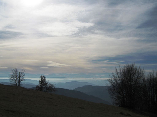 Prizori